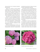 Гортензии в саду. Практический курс — фото, картинка — 14