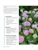 Гортензии в саду. Практический курс — фото, картинка — 15