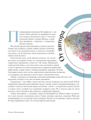 Гортензии в саду. Практический курс — фото, картинка — 5