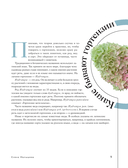 Гортензии в саду. Практический курс — фото, картинка — 9