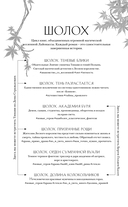 Шолох. Витражи лесной столицы — фото, картинка — 10