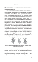 Мой первый улей — фото, картинка — 11