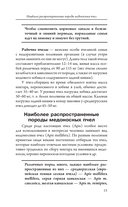 Мой первый улей — фото, картинка — 15