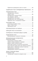 Мой первый улей — фото, картинка — 4