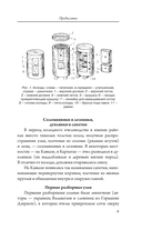 Мой первый улей — фото, картинка — 9