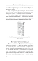 Мой первый улей — фото, картинка — 10