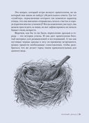 Птицы: Крылатые чудеса природы — фото, картинка — 2