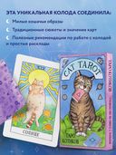 Cat Tarot. Таро Котиков (78 карт и руководство в подарочном футляре) — фото, картинка — 3