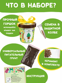 Набор для выращивания растений 