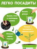 Набор для выращивания растений 