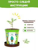 Набор для выращивания растений 