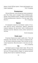 Диктанты по русскому языку 1-4 класс — фото, картинка — 13