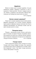 Диктанты по русскому языку 1-4 класс — фото, картинка — 15