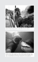 Фотография. Для тех, кто хочет всё успеть — фото, картинка — 13