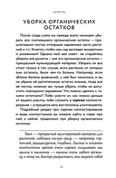 Энциклопедия огорода с Ларисой Кочелаевой — фото, картинка — 6