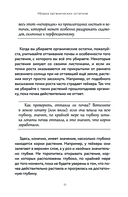 Энциклопедия огорода с Ларисой Кочелаевой — фото, картинка — 7