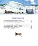 На берегах Сакраменто. Рассказы — фото, картинка — 1