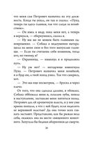 Приключения кота Сократа в Кремле — фото, картинка — 22