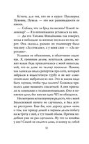 Приключения кота Сократа в Кремле — фото, картинка — 26