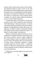 Приключения кота Сократа в Кремле — фото, картинка — 33