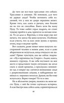 Приключения кота Сократа в Кремле — фото, картинка — 34