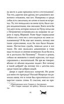 Приключения кота Сократа в Кремле — фото, картинка — 35