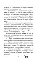 Приключения кота Сократа в Кремле — фото, картинка — 43