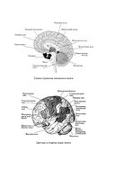 Психосоматика. Как распознать и обезвредить хронический стресс — фото, картинка — 26