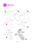 Большая книга животных. 300 рисунков шаг за шагом — фото, картинка — 12