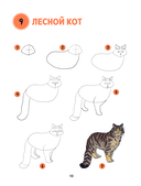 Большая книга животных. 300 рисунков шаг за шагом — фото, картинка — 10