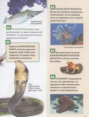 Удивительные животные. 250 фактов — фото, картинка — 1