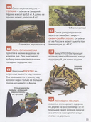 Удивительные животные. 250 фактов — фото, картинка — 2