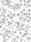 Райский сад — фото, картинка — 14