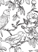 Райский сад — фото, картинка — 8