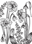 Райский сад — фото, картинка — 12