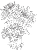 Райский сад — фото, картинка — 13