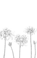 Сон и Пепел — фото, картинка — 2