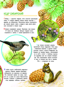 Что такое? Кто такой? — фото, картинка — 7