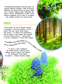 Что такое? Кто такой? — фото, картинка — 9