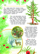 Что такое? Кто такой? — фото, картинка — 10