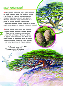 Что такое? Кто такой? — фото, картинка — 11