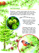 Что такое? Кто такой? — фото, картинка — 6