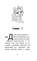 Приключения на мягких лапках — фото, картинка — 8