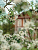 Сезоны нежности. Секреты счастливого образа жизни, рецепты для души и домашний декор — фото, картинка — 13