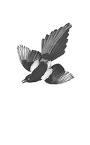 Хитничья жила — фото, картинка — 1