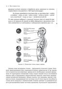 Йога тонкого тела. Руководство по физической и энергетической анатомии йоги — фото, картинка — 16