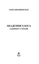 Академия хаоса. Лабиринт стихий — фото, картинка — 3