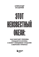 Этот неизвестный океан: как работают приливы, рождаются шторма и живут невидимые создания в морских глубинах — фото, картинка — 1