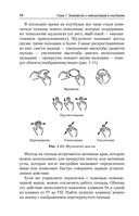 Компьютер и ноутбук. Простой и понятный пошаговый самоучитель — фото, картинка — 17
