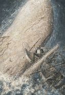Моби Дик, или Белый кит — фото, картинка — 5